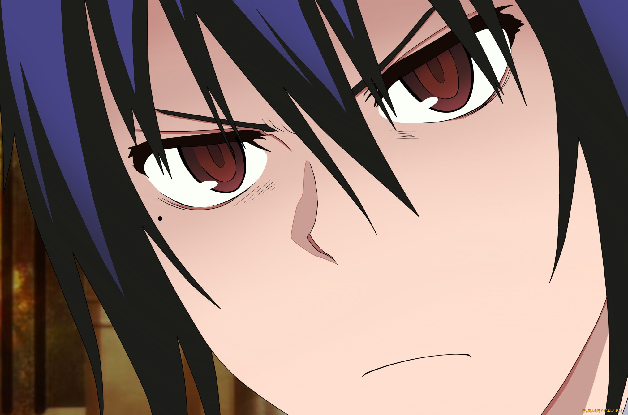 , nisekoi, 